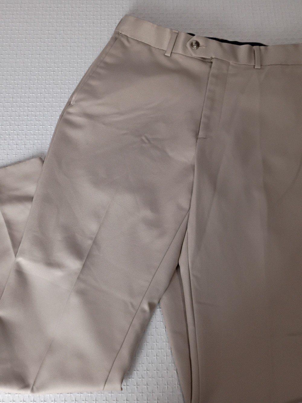 Roundtree & Yorke Men's Dress Pants in Light Taupe